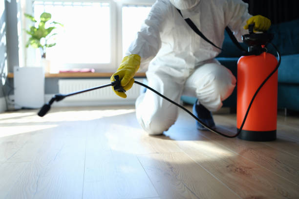 Reliable Odor Removal contractor in Tilden, IL by Trauma Clean Pros